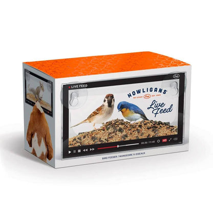 Bird Feeder - Live Feed