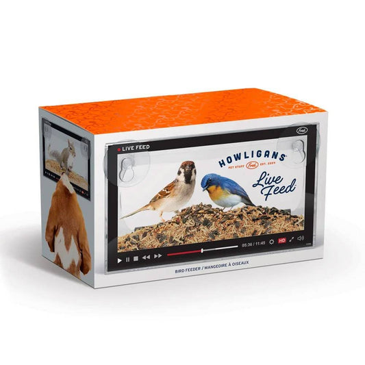 Bird Feeder - Live Feed