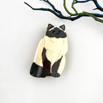 Black Cat Acetate Claw Clip