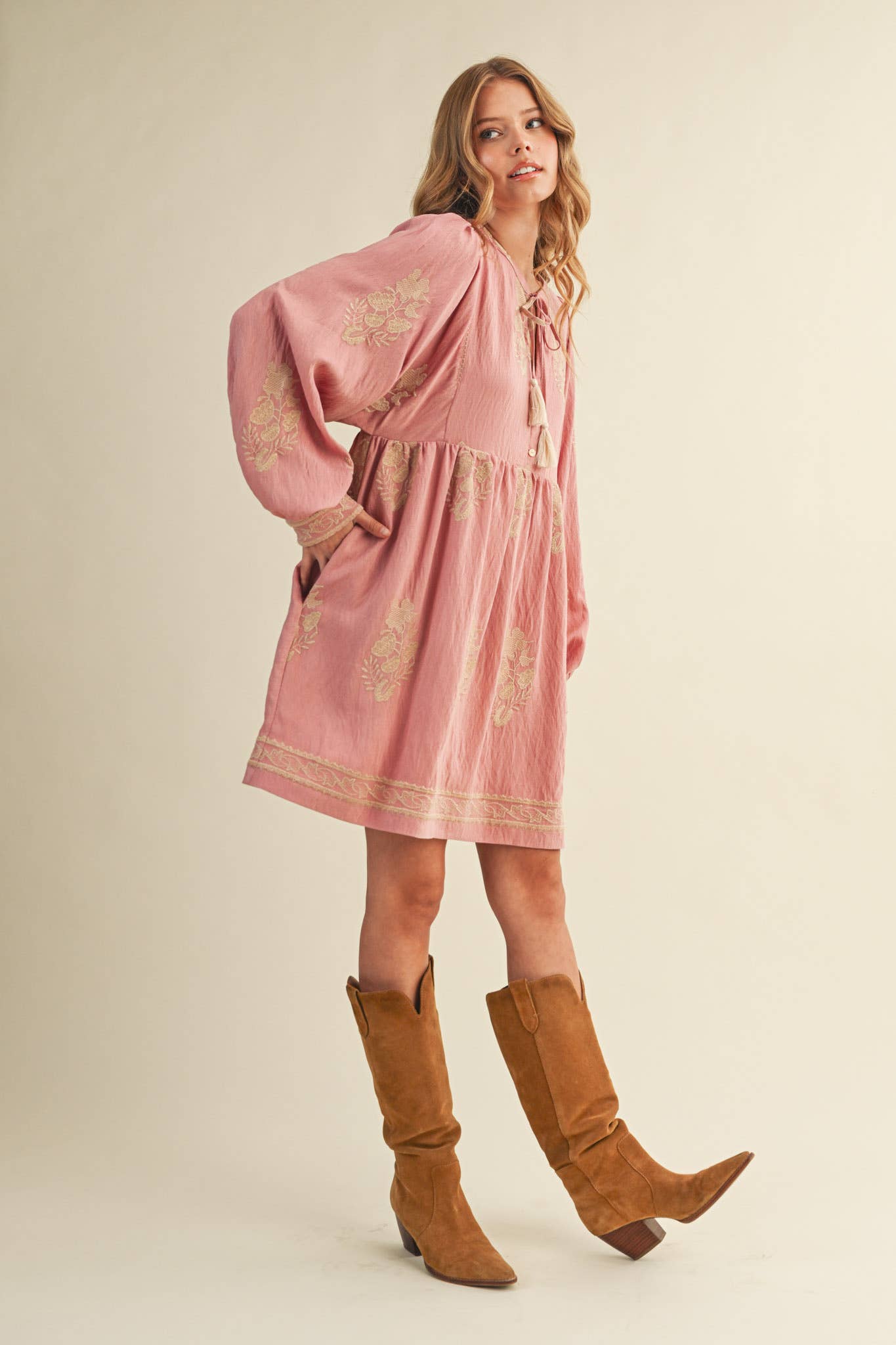 Embroidered Puff Sleeve Mini Dress