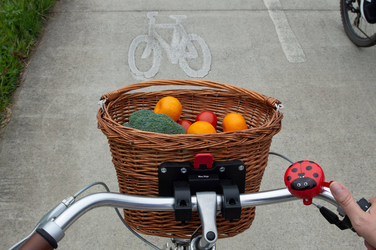 Ladybug Bike Bell & Scooter Bell