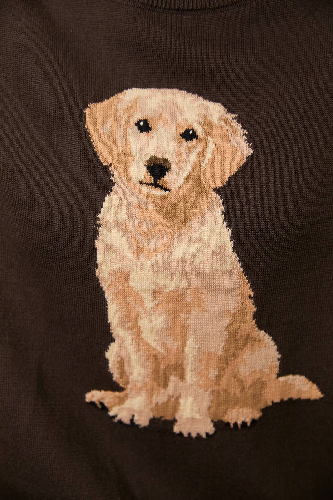 Golden Retriever Dog Sweater