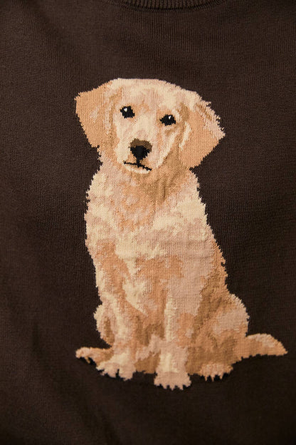 Golden Retriever Dog Sweater