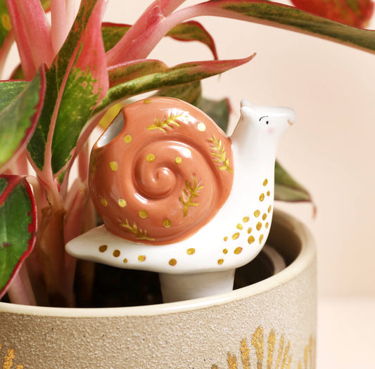 Snail Plant Waterer