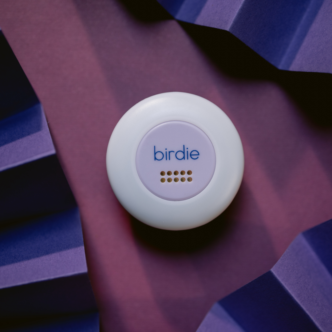 Birdie Alarm Disc