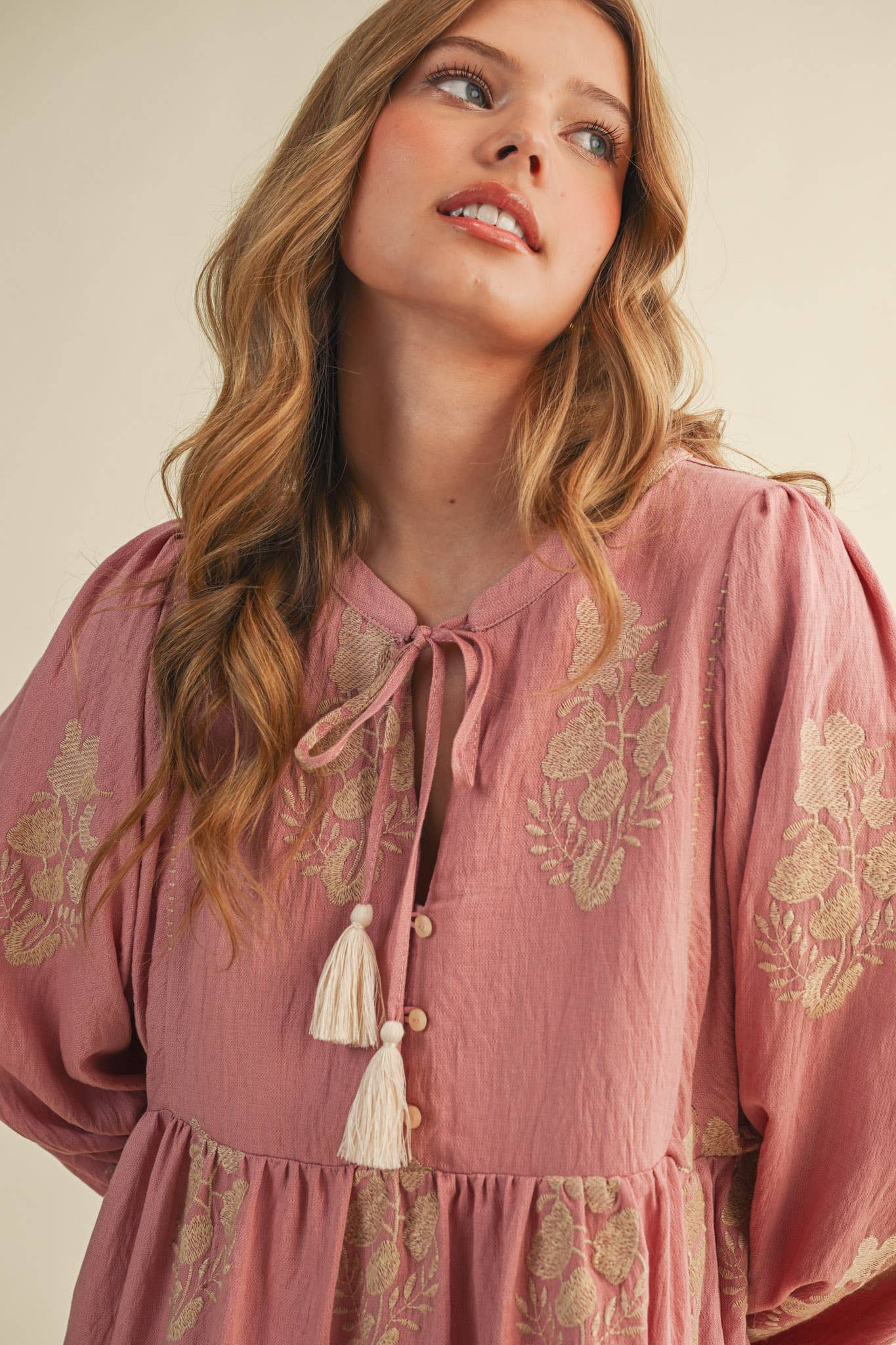 Embroidered Puff Sleeve Mini Dress