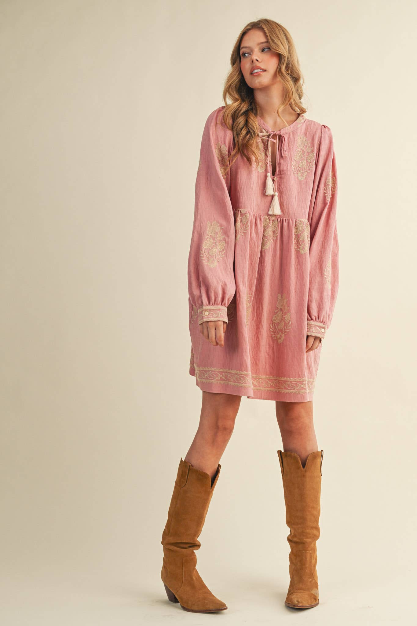 Embroidered Puff Sleeve Mini Dress