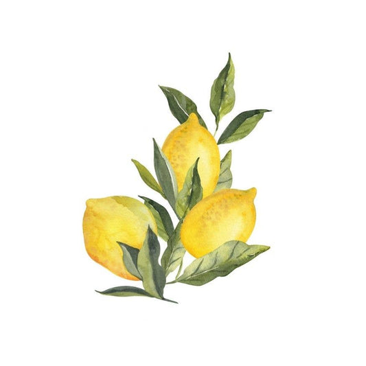 Lemons Acrylic Napkin Weight