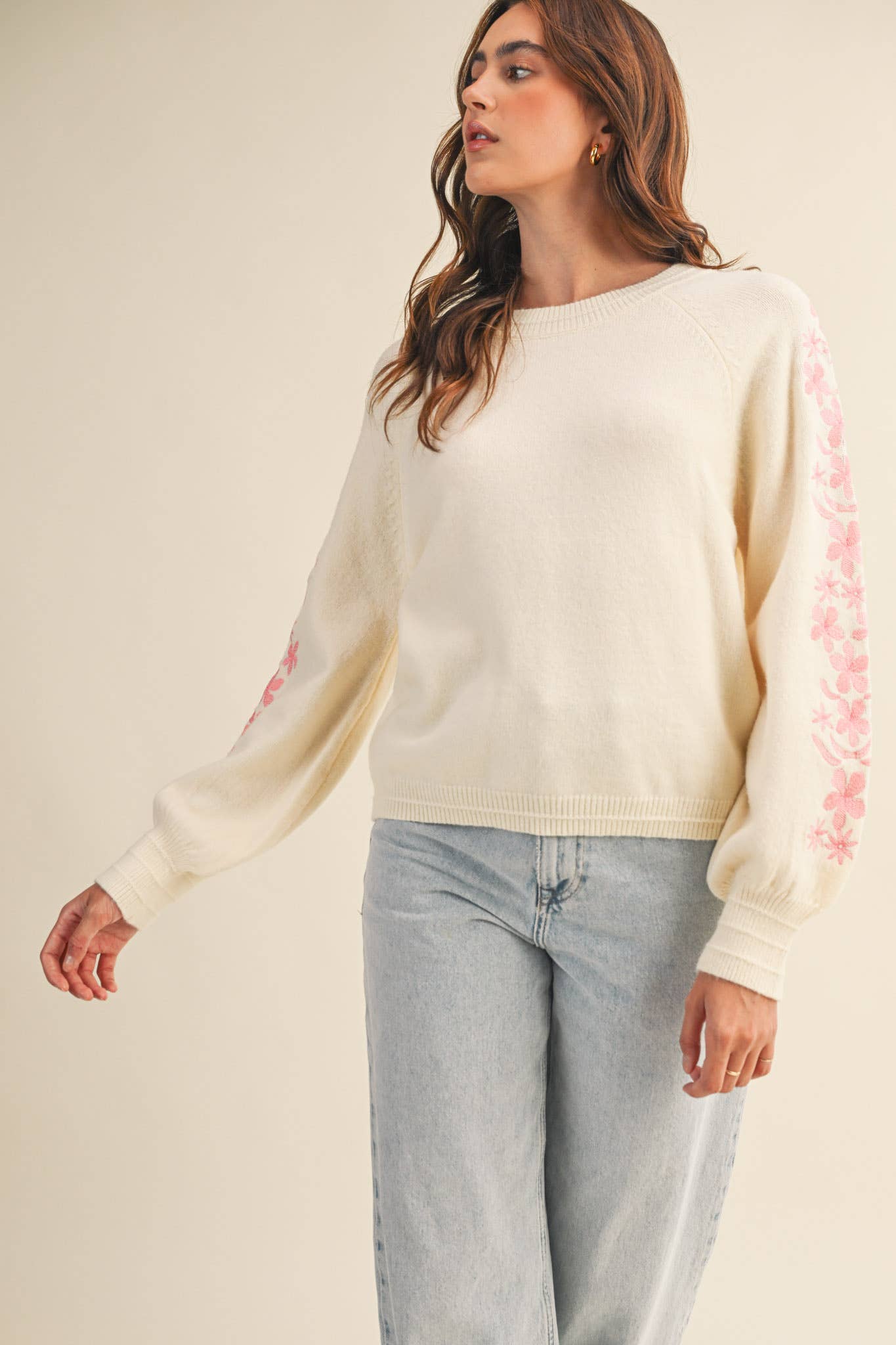 Floral Embroidered Sleeve Pullover