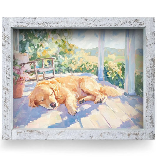 Golden Porch Nap