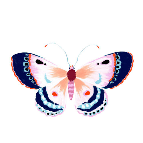 Pink Butterfly Acrylic Napkin Weight