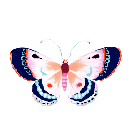 Pink Butterfly Acrylic Napkin Weight