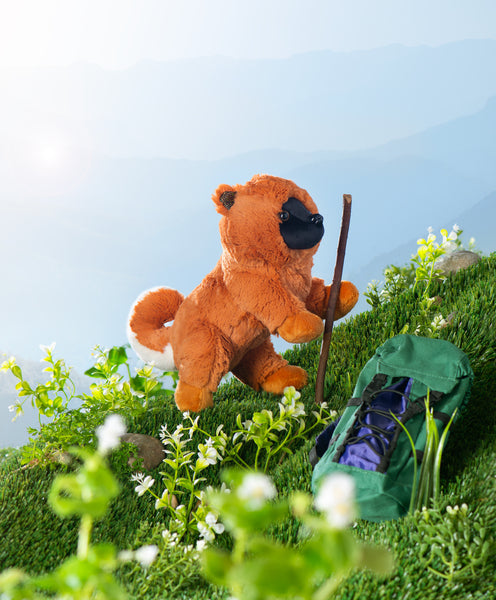 WEBKINZ Chow Chow