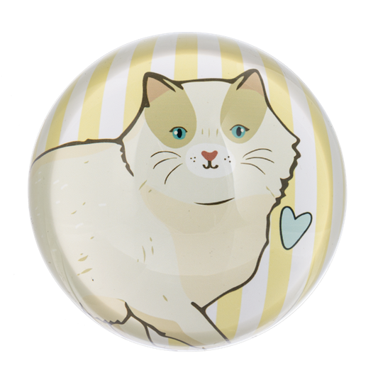 Cat Paperweight