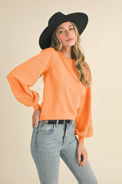 Pointelle Puff Sleeve Sweater