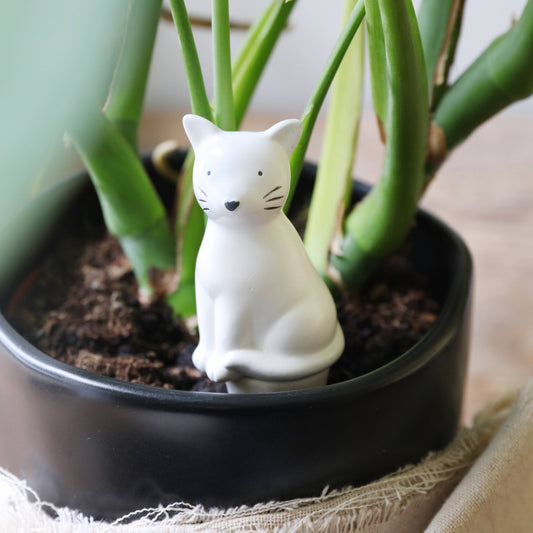 Cat Plant Watering Spike