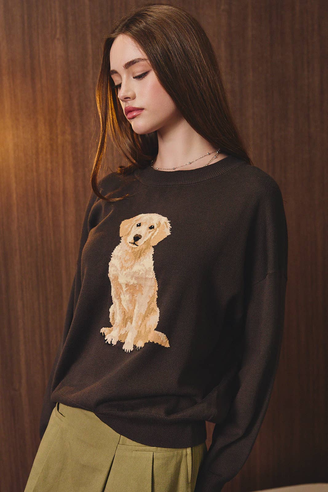 Golden Retriever Dog Sweater