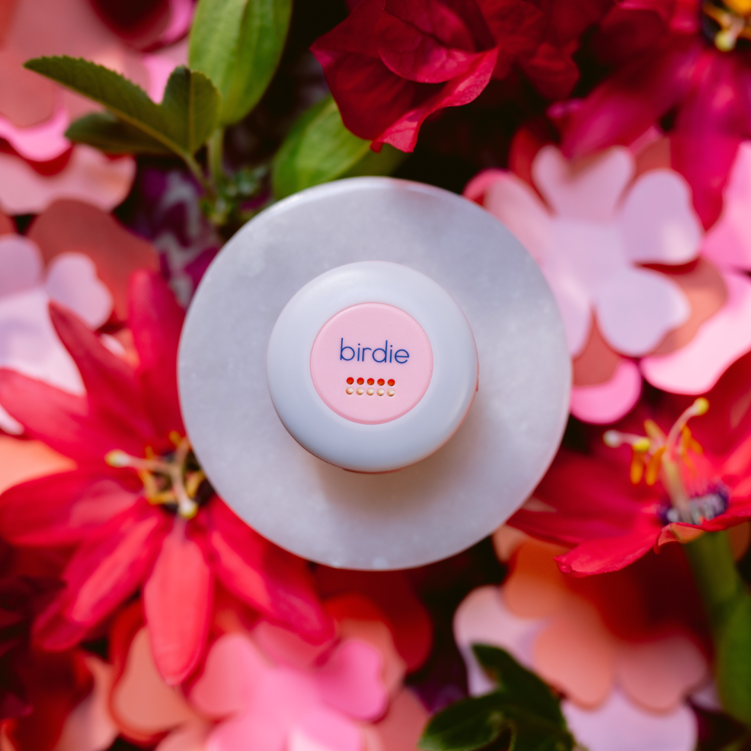 Birdie Alarm Disc